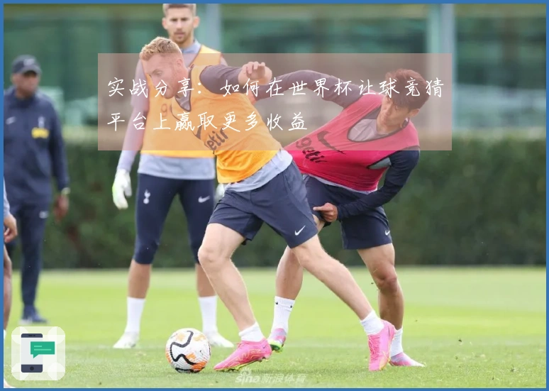 实战分享：如何在世界杯让球竞猜平台上赢取更多收益