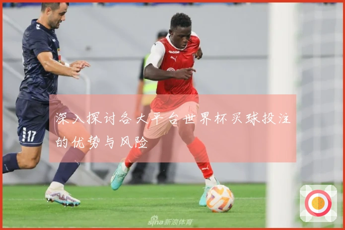 深入探讨各大平台世界杯买球投注的优势与风险