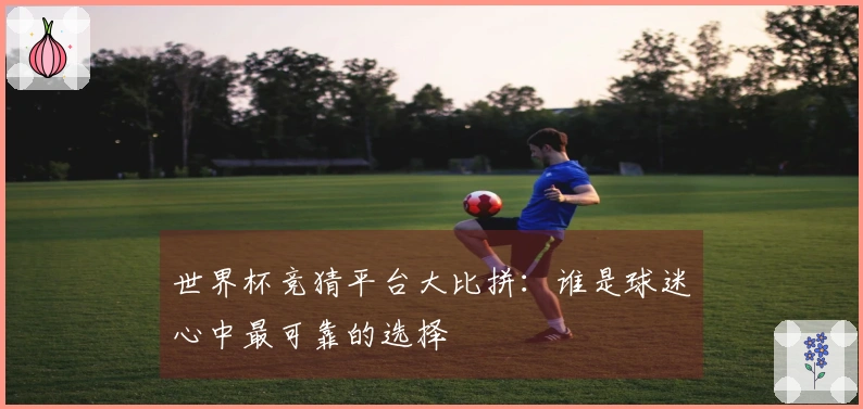 世界杯竞猜平台大比拼：谁是球迷心中最可靠的选择