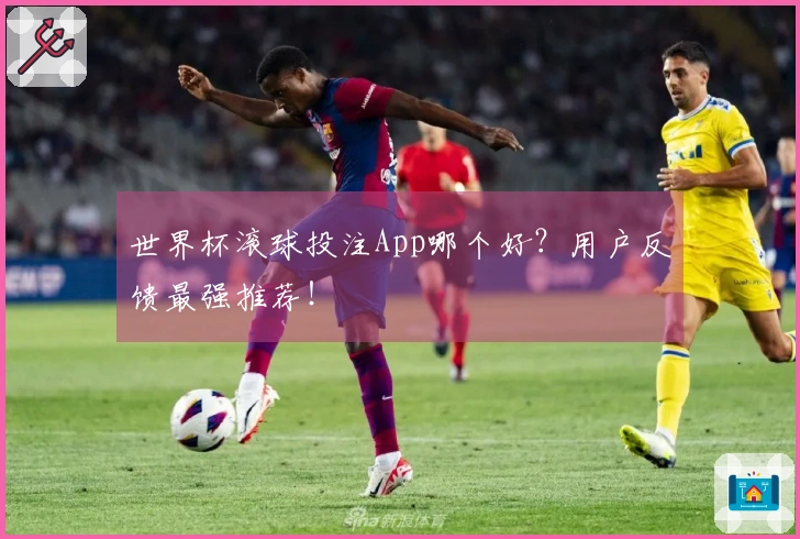 世界杯滚球投注App哪个好？用户反馈最强推荐！