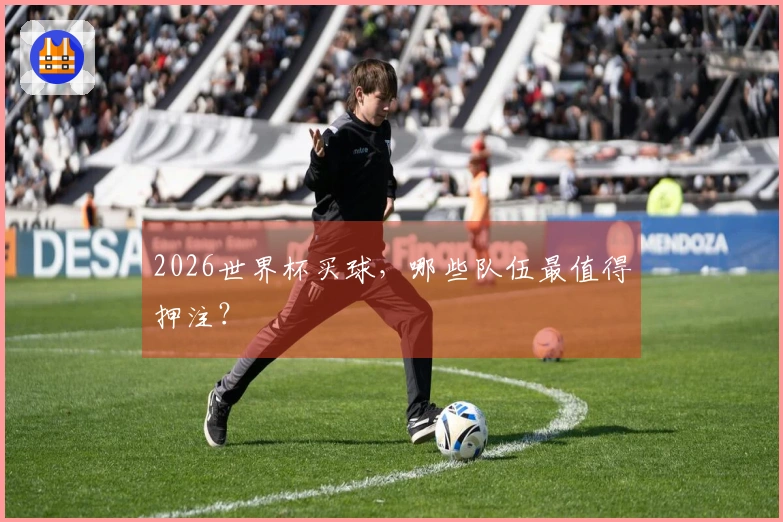2026世界杯买球，哪些队伍最值得押注？