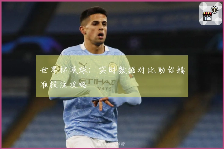世界杯滚球：实时数据对比助你精准投注攻略
