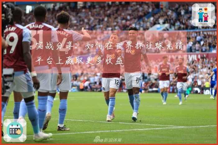 实战分享：如何在世界杯让球竞猜平台上赢取更多收益